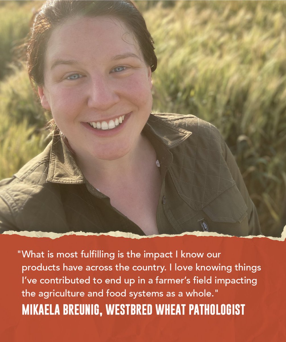 WestBredWheat's tweet image. Today, on #InternationalWomensDay, we honor the incredible and resourceful #WomenInWheat whose achievements and efforts drive progress not just for us, but for our industry and the world.

@NSWheat @MikaelaBreunig