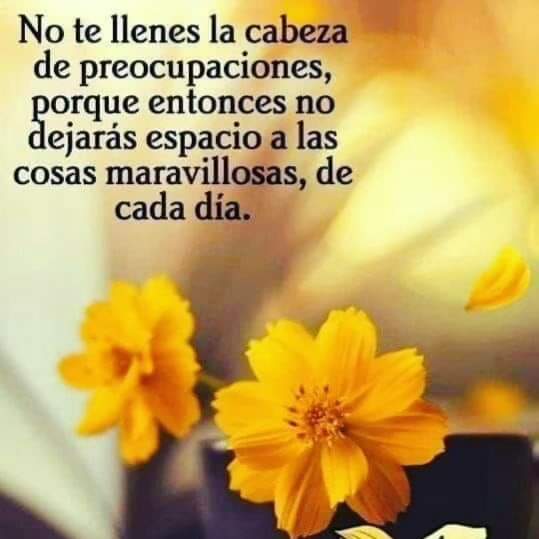 GutAngi's tweet photo. Buenas tardes https://t.co/uSti4NsWJH
