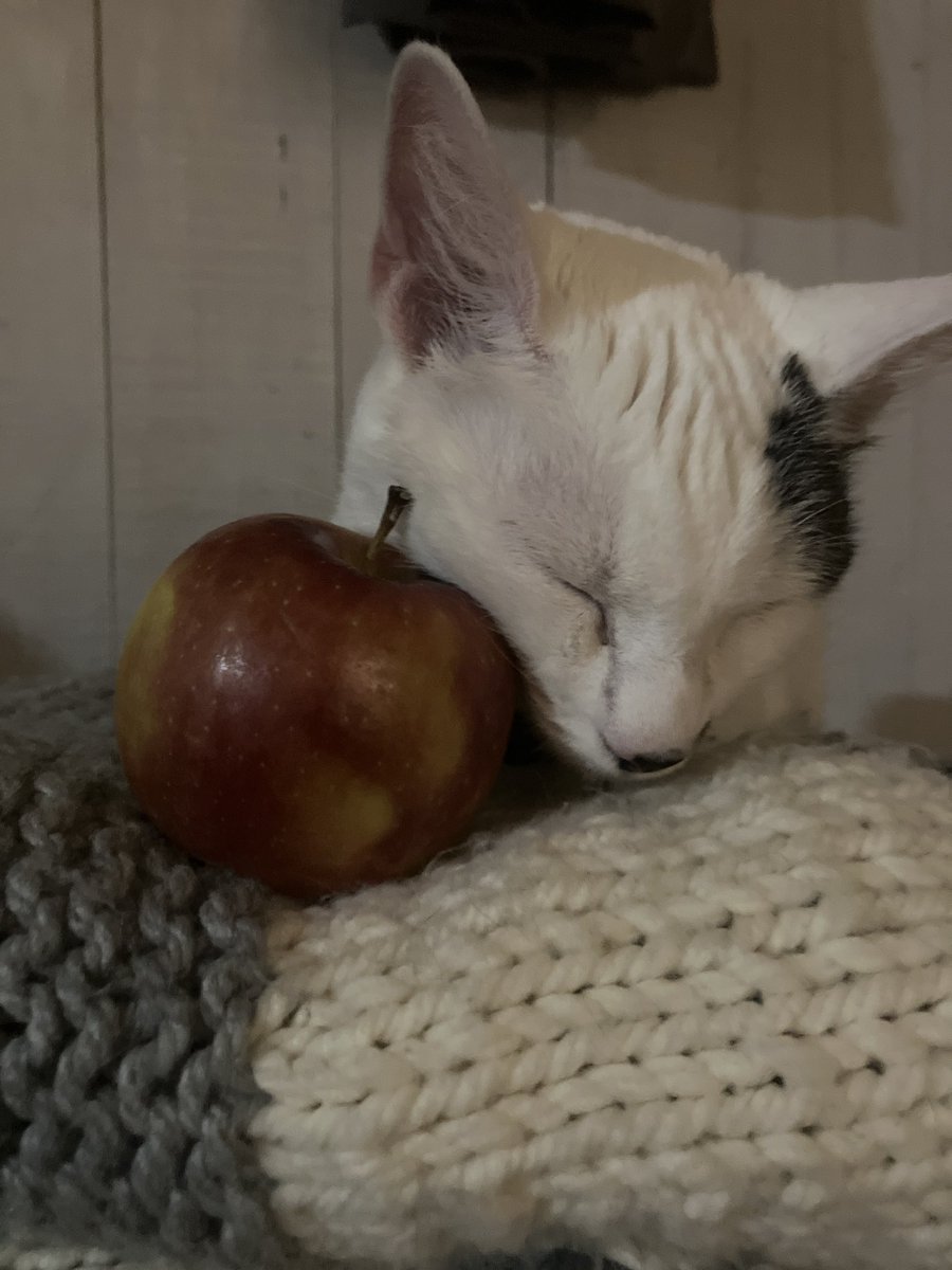 her greed has no bounds