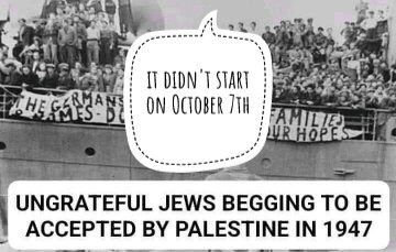 Nilofer (@juttziia123) on Twitter photo 