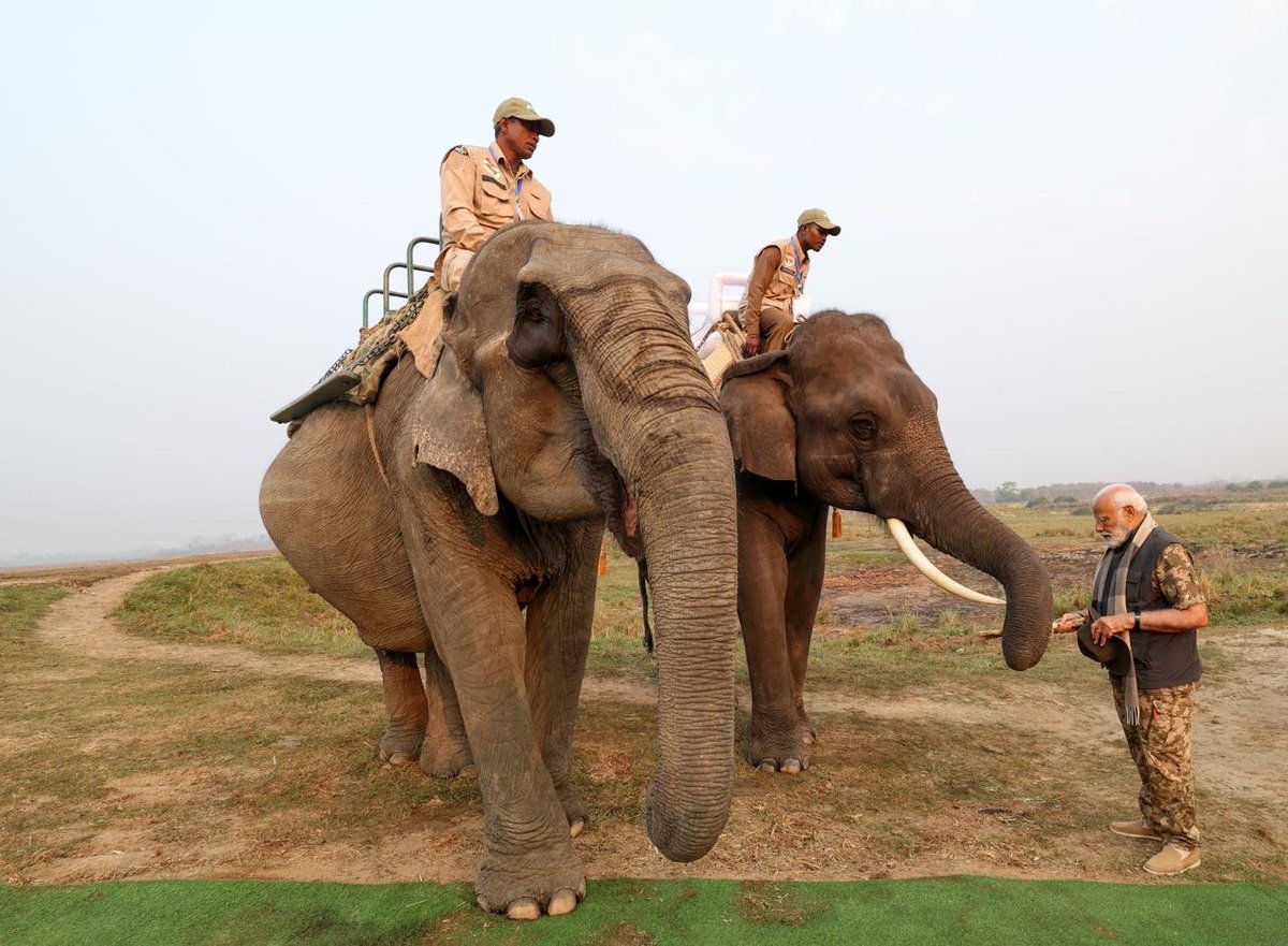 narendramodi's tweet image. Feeding sugar cane to Lakhimai, Pradyumna and Phoolmai. Kaziranga is known for the rhinos but there are also large number of elephants there, along with several other species.