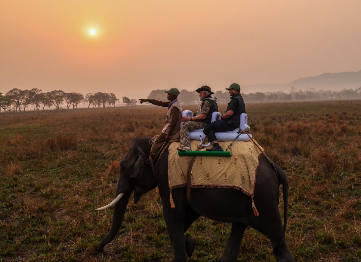 priyathedentico's tweet photo. Nice capture
@narendramodi ji at Kaziranga national park
#BestCreator award must be given to Modiji as he gives us so many travel goals
#DekhoApnaDesh https://t.co/vKvy7fkQRL