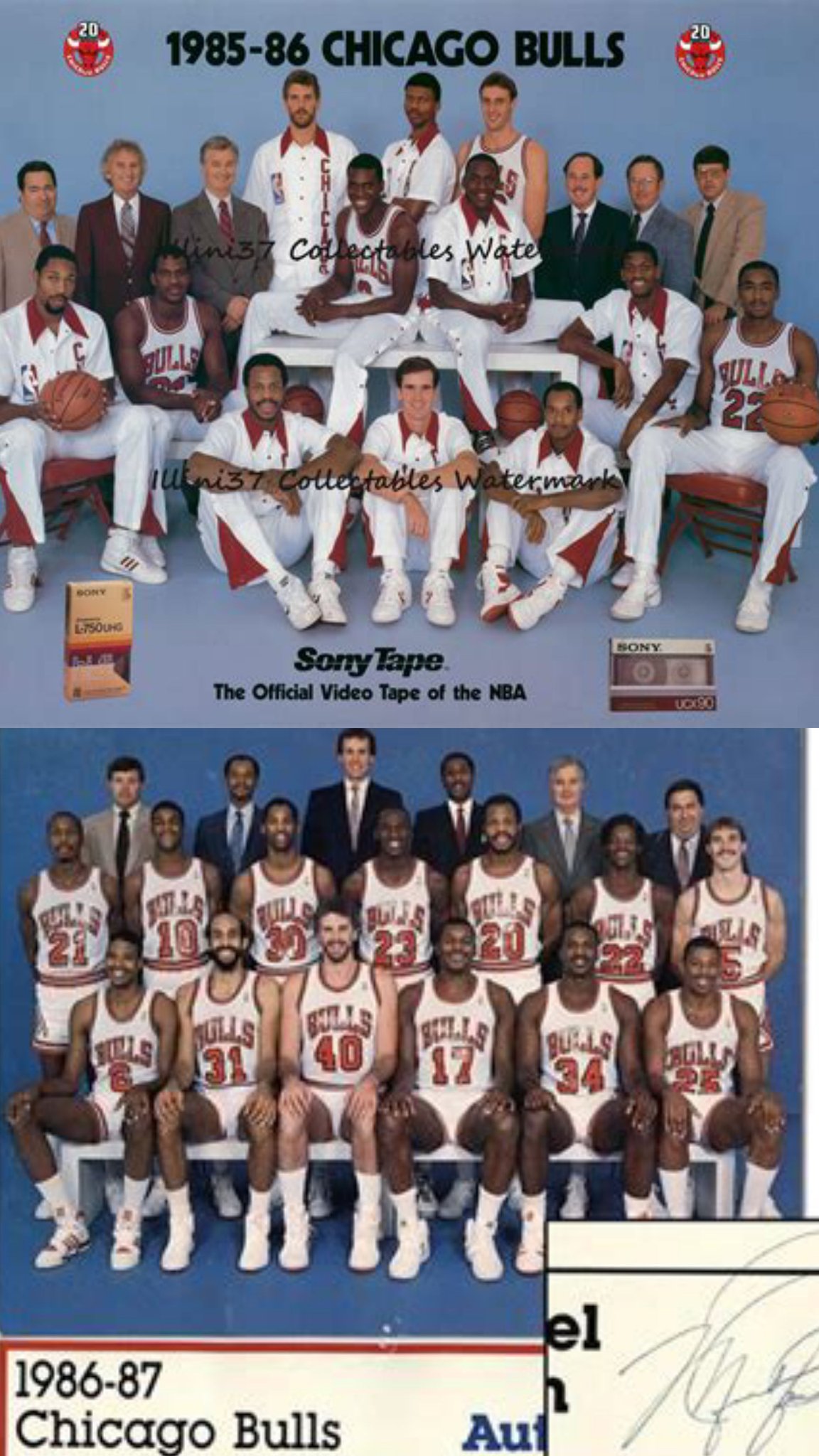 1985 chicago bulls roster hotsell