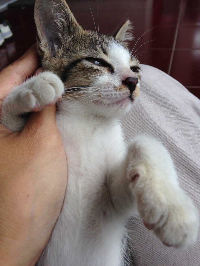 apakah ada job freelance yg bs ak kerjakan dibulan ramadhan??