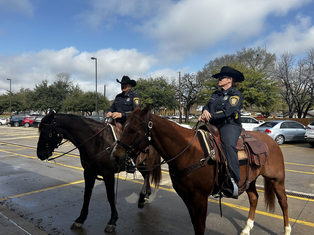 Aimee Seaton tweet media