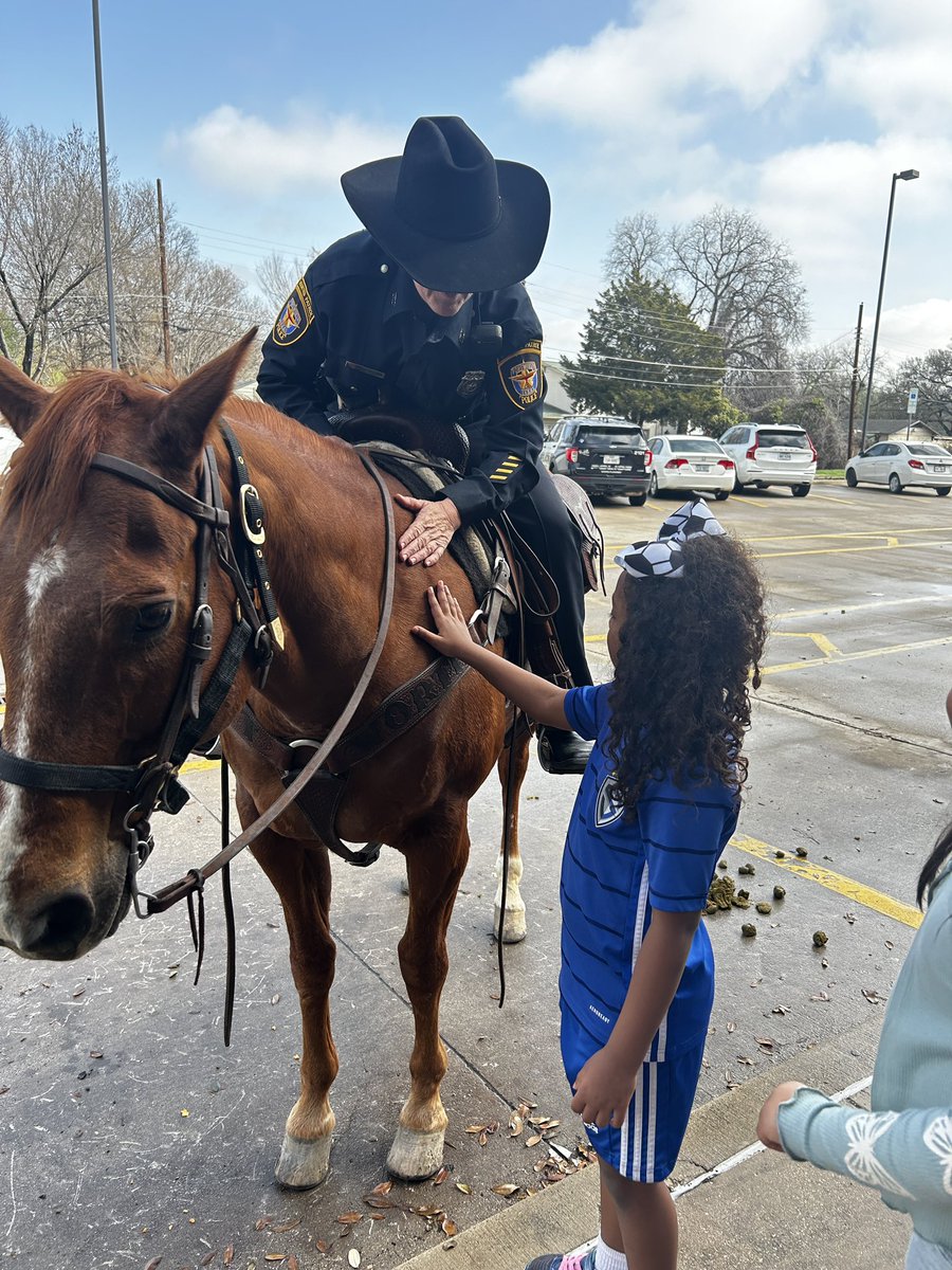 Aimee Seaton tweet media