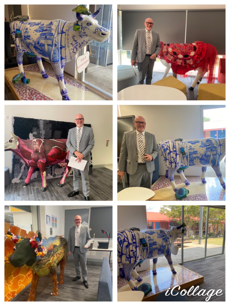 Kay Rigas tweet media