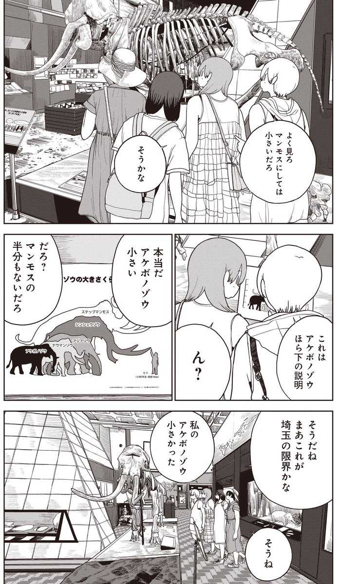 埼玉の全盛期!?埼玉県には昔は海があったのだ!(5/6)

#秩父
#長瀞
#埼玉県立自然の博物館
#マンモス
#パレオパラドキシア 