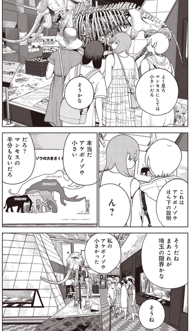 埼玉の全盛期!?埼玉県には昔は海があったのだ!(5/6)

#秩父
#長瀞
#埼玉県立自然の博物館
#マンモス
#パレオパラドキシア 