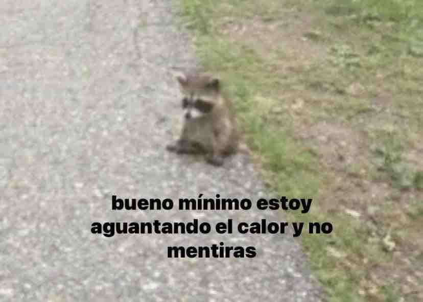 Guarromantico_'s tweet photo. https://t.co/V2cOyrR0Jj
