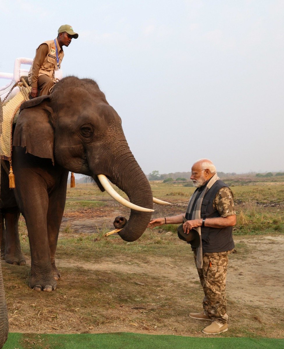 BJP4India's tweet photo. Prime Minister Shri @narendramodi fed sugarcanes to elephants in Kaziranga National Park, Assam... https://t.co/rbYpQAsB4d