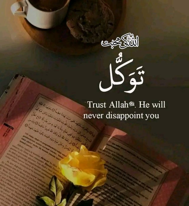 majidullah591's tweet photo. #OriginalALLAH NEVER DISAPPOINTED ❤️🤍❤️ https://t.co/vTfCCYmhJ8