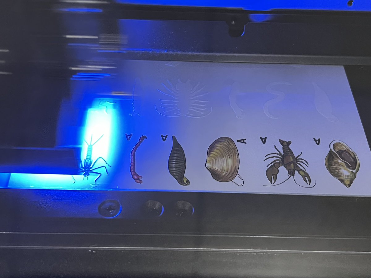 DesignMakeTeach's tweet photo. Using the Roland Graphic Transfer System to place UV printed graphics directly on #3Dprinted classroom manipulative prototype & water bottle. Exploring new techniques & workflows in school #makerspace #makerspacelife https://t.co/LQB1V2sn48