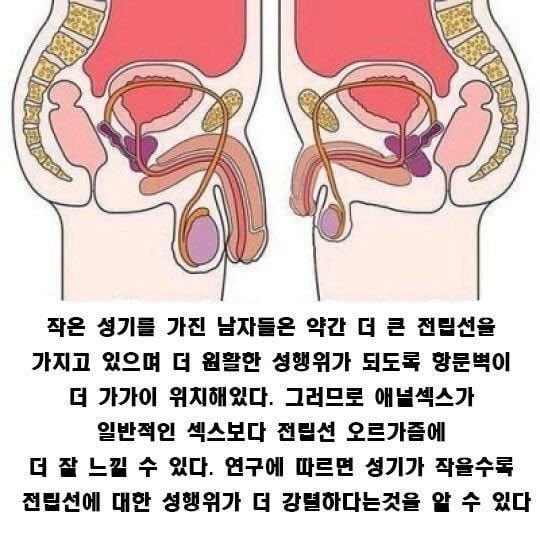 DoeHeesu's tweet photo. https://t.co/3aYxdxKPvp