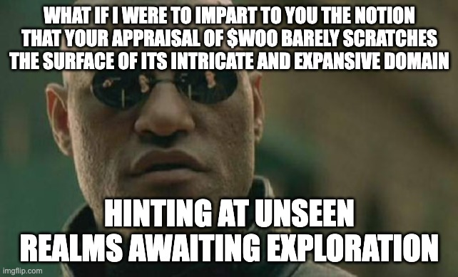The impending breakout of $WOO is imminent, ignore the cacophony of FUD peddlers seeking to pilfer your route to financial liberation. $BTC $ETH $FET $INJ