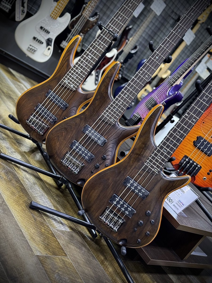 ベース担当の菅です。 島村楽器限定モデルの【＃Ibanez】SR4AH、SR5AH