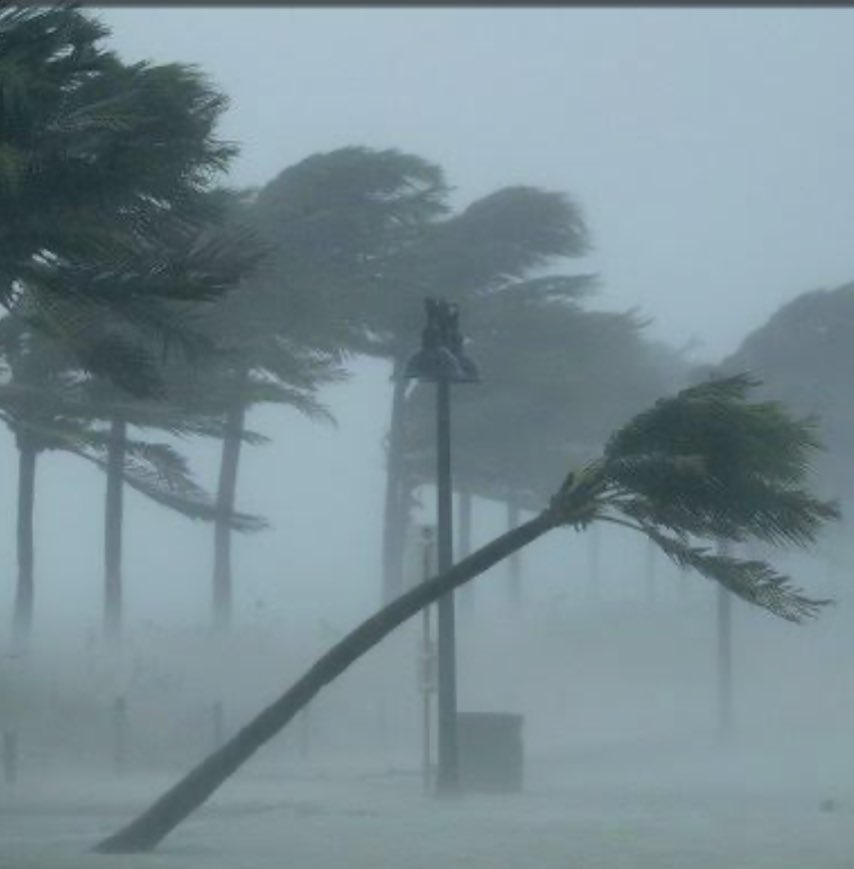 Diego Haidar tweet media