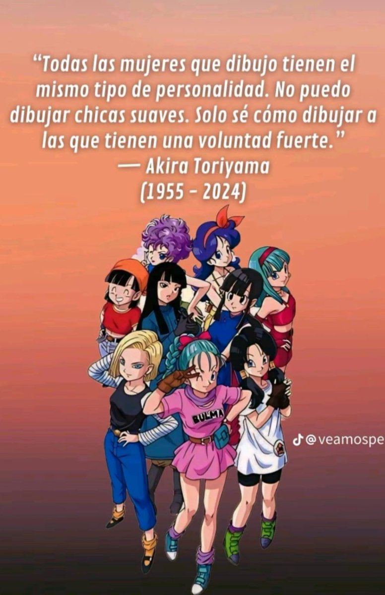 roxsolrojman's tweet photo. #AkiraToriyama #DiaInternacionalDeLaMujer #DiaDeLaMujer #chile #8M2024 https://t.co/NaLXINni1d