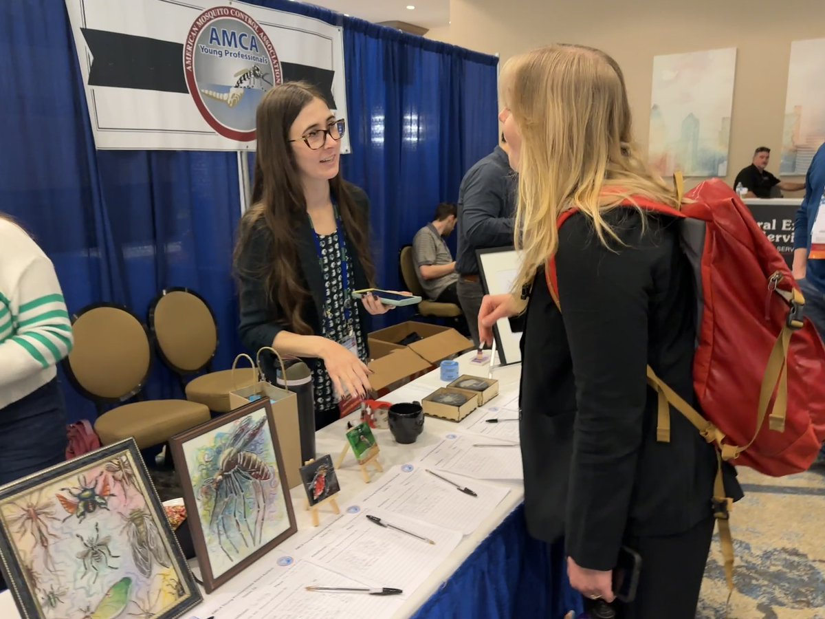 AMCA Young Pros 🦟 tweet media