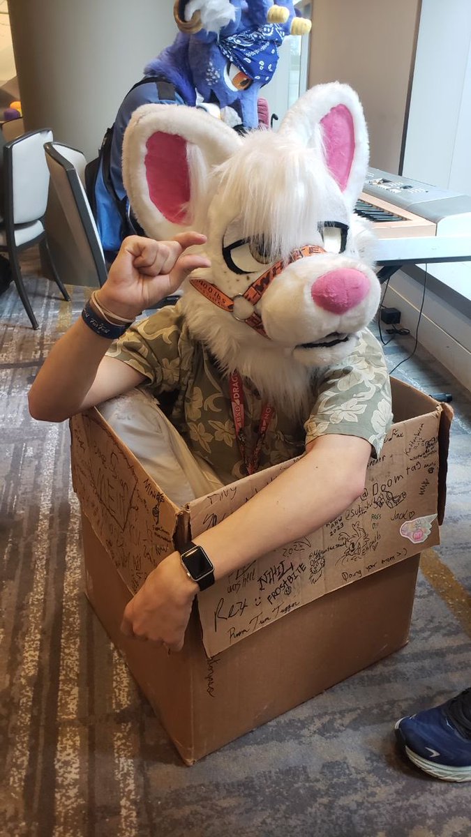 100% I will be at #TFF2024 and not break my damn leg right before my flight.
.
#FursuitFriday