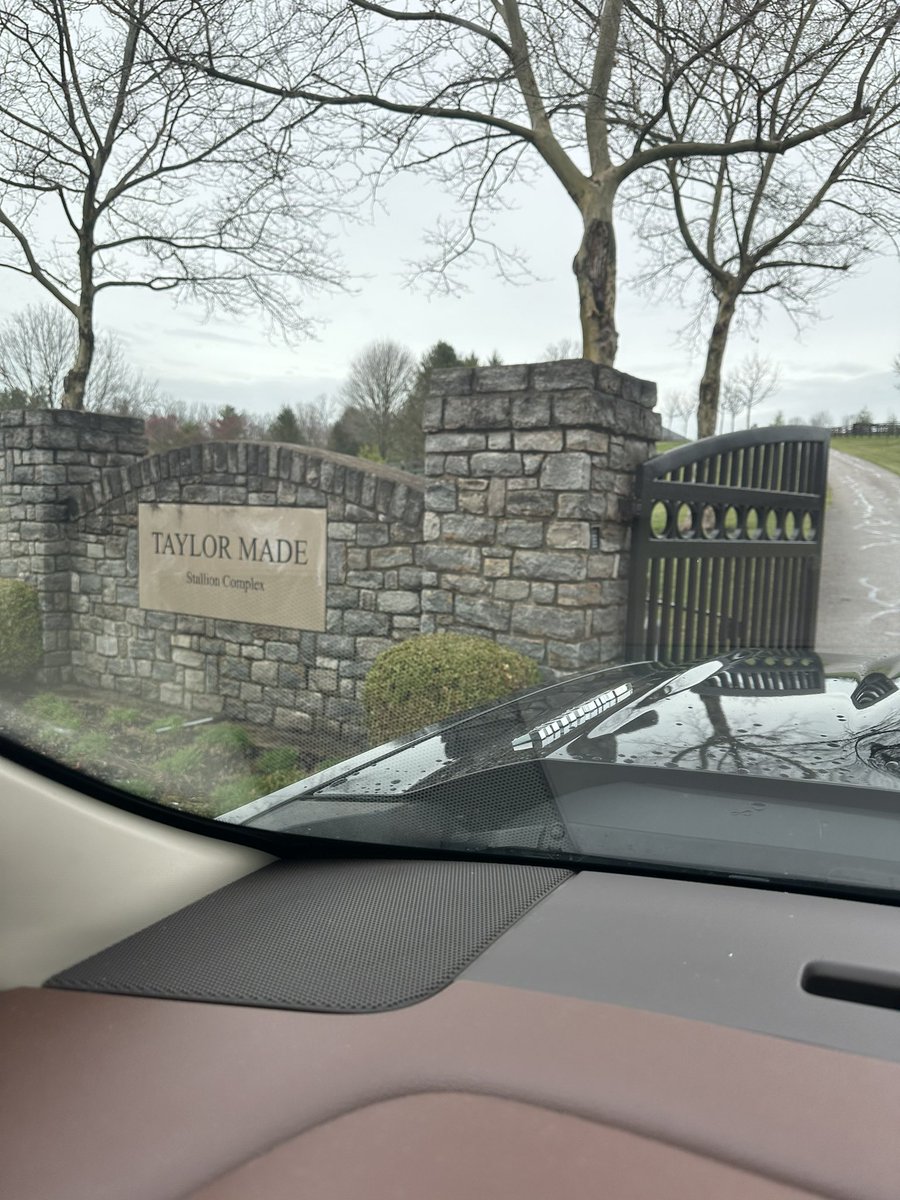 PoloGreenStable's tweet image. Myah has been a good help and daddy only drives Truck&amp;amp;trailer to the sheds😝She even wears their hat and maroon shirt to blend in👏 😅 #Tacitus @TMStallions