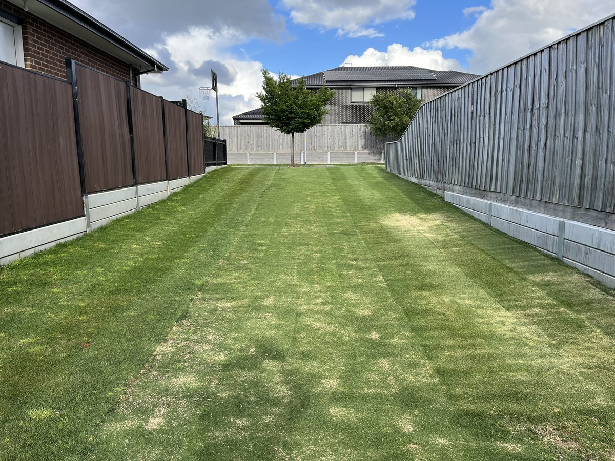 Andrew Boyle tweet media