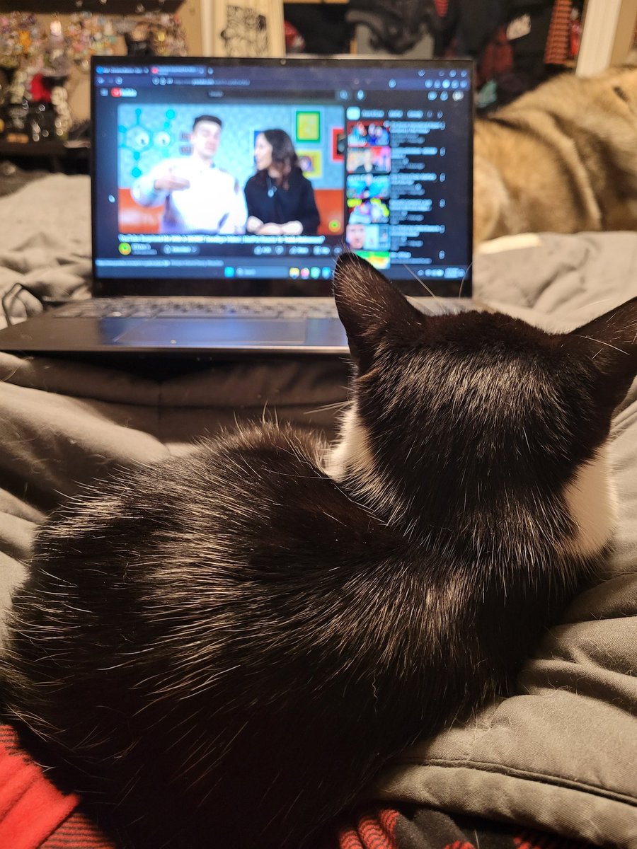 Watching @GameTheoryLive and someone wanted to be in my lap