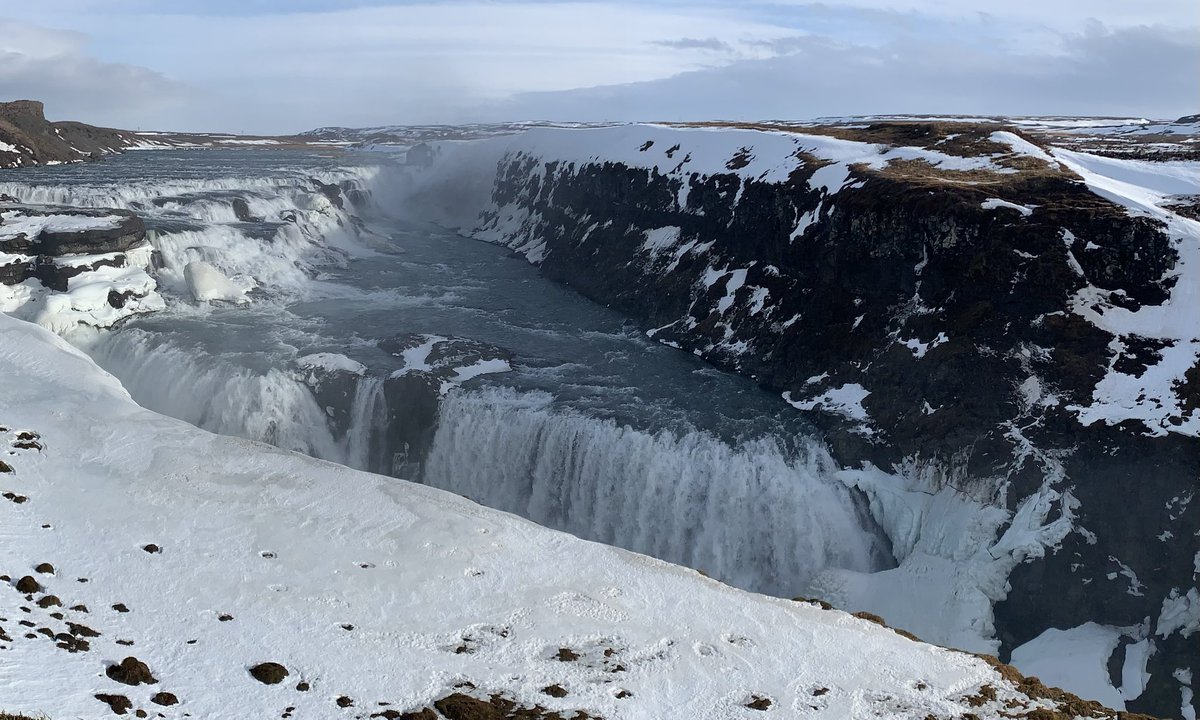 Phenomenal - an overused word today, though thoroughly acceptable for the amazing sights and scenery Iceland has to offer on @naturetrektours Northern Lights and Winter Wildlife. Gullfoss was particularly spectacular as were the Northern Lights.