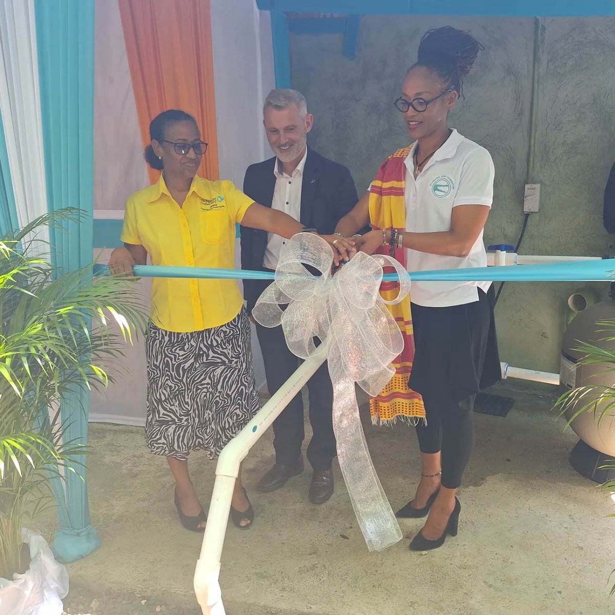 Alligator Head Foundation tweet media