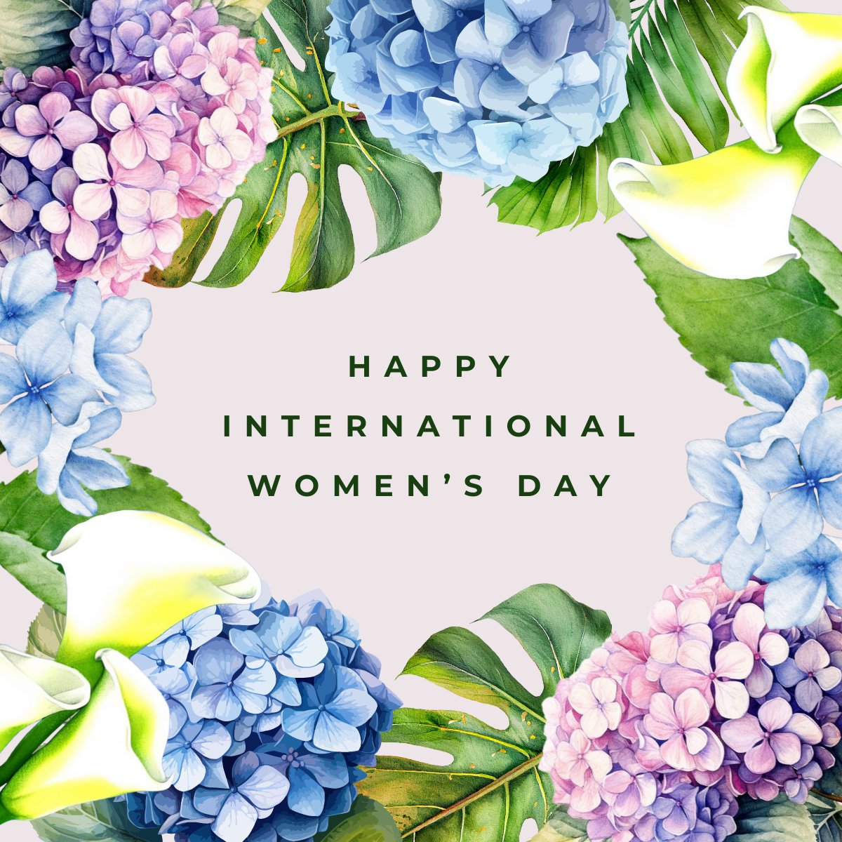 NewGen_Plumbing's tweet photo. On International Women's Day, let's honor the incredible women who surround us daily! https://t.co/LTu7JYuTEz