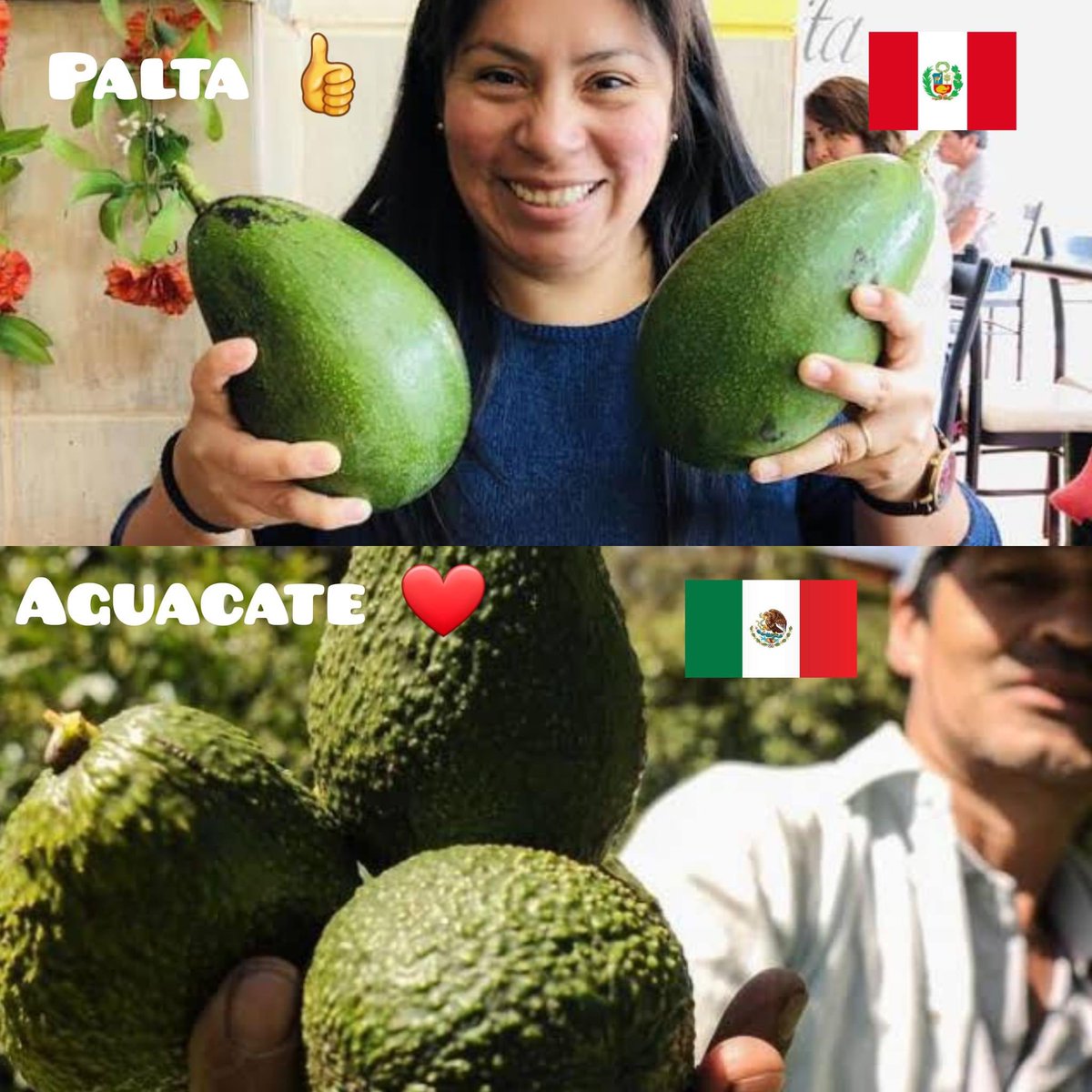 Enséñame de Ciencia tweet media