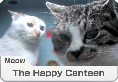 Mario Kart 8 course: