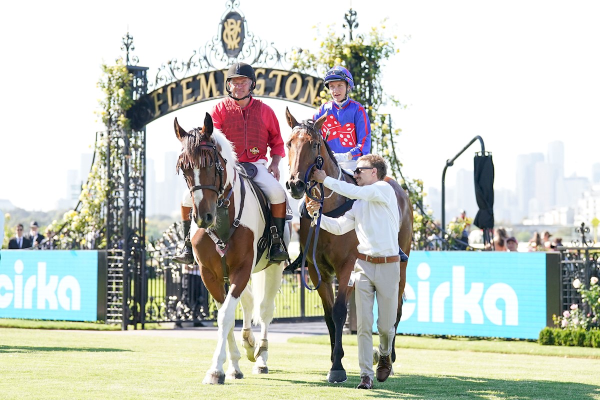 RolltheDiceRace's tweet photo. Scorching day @flemingtonvrc & Hedged sizzled down the straight. Terrific training performance by @MickPriceRacing & π by @jamieleekah07 to have him firing first up. Looks like hes in for a big prep & didn't our owners love it! π²ππ¨#StartRolling #hedged #pricekentracing #RTD https://t.co/g74Pfp8b0E