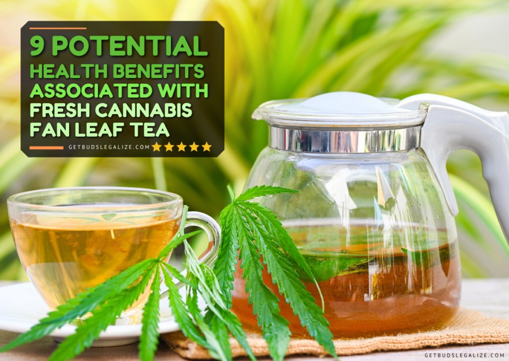 SacredSoundX's tweet photo. 9 Potential Health Benefits of Fresh Cannabis Fan Leaf Tea https://t.co/gLDTvlQ3A0
#CannabisTea
#HealthBenefits
#FanLeafTea
#NaturalWellness
#HolisticHealth
#TeaTime
#PlantBasedMedicine
#CannabisHealth
#HerbalRemedy
#TeaLovers
#CannabisMedicine
#FreshLeafBenefits
#GreenTeaMagic https://t.co/rAVxvzo20m