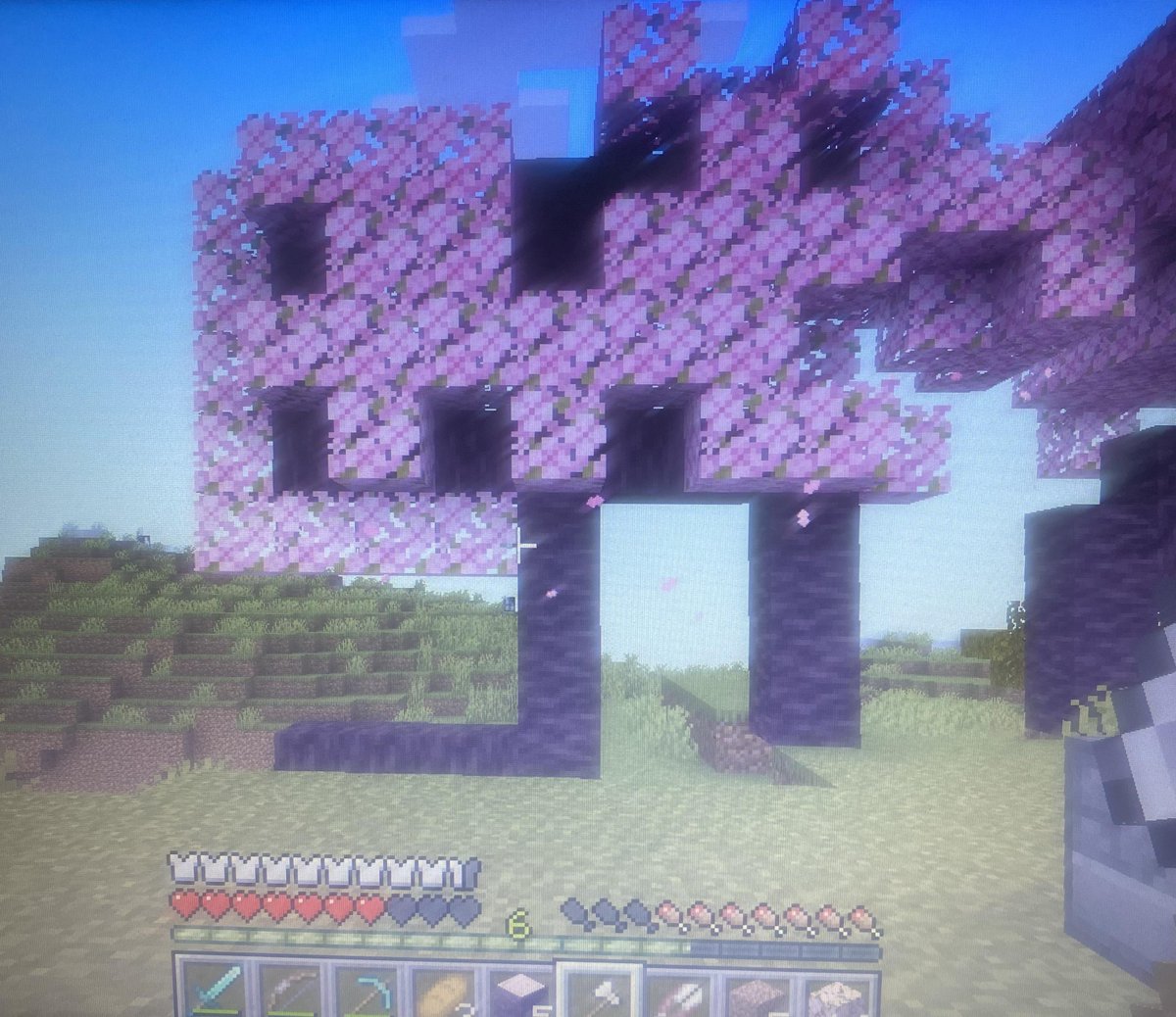 MinecraftMeme16's tweet photo. I love cherry blossom trees https://t.co/IBTYQ3mXJJ