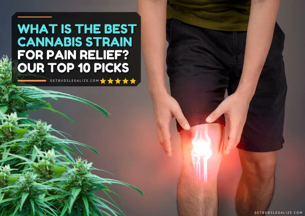 SacredSoundX's tweet photo. What Is The Best Cannabis Strain for Pain Relief? Our Top 10 Picks https://t.co/oWdBdqLtDU 
#CannabisForPain #PainReliefStrains #MedicalCannabis #CannabisMedicine #PainManagement #CBDforPain #THCforPain #CannabisCommunity #StrainReviews #HolisticHealing #NaturalRemedies https://t.co/4WPCMARH8c