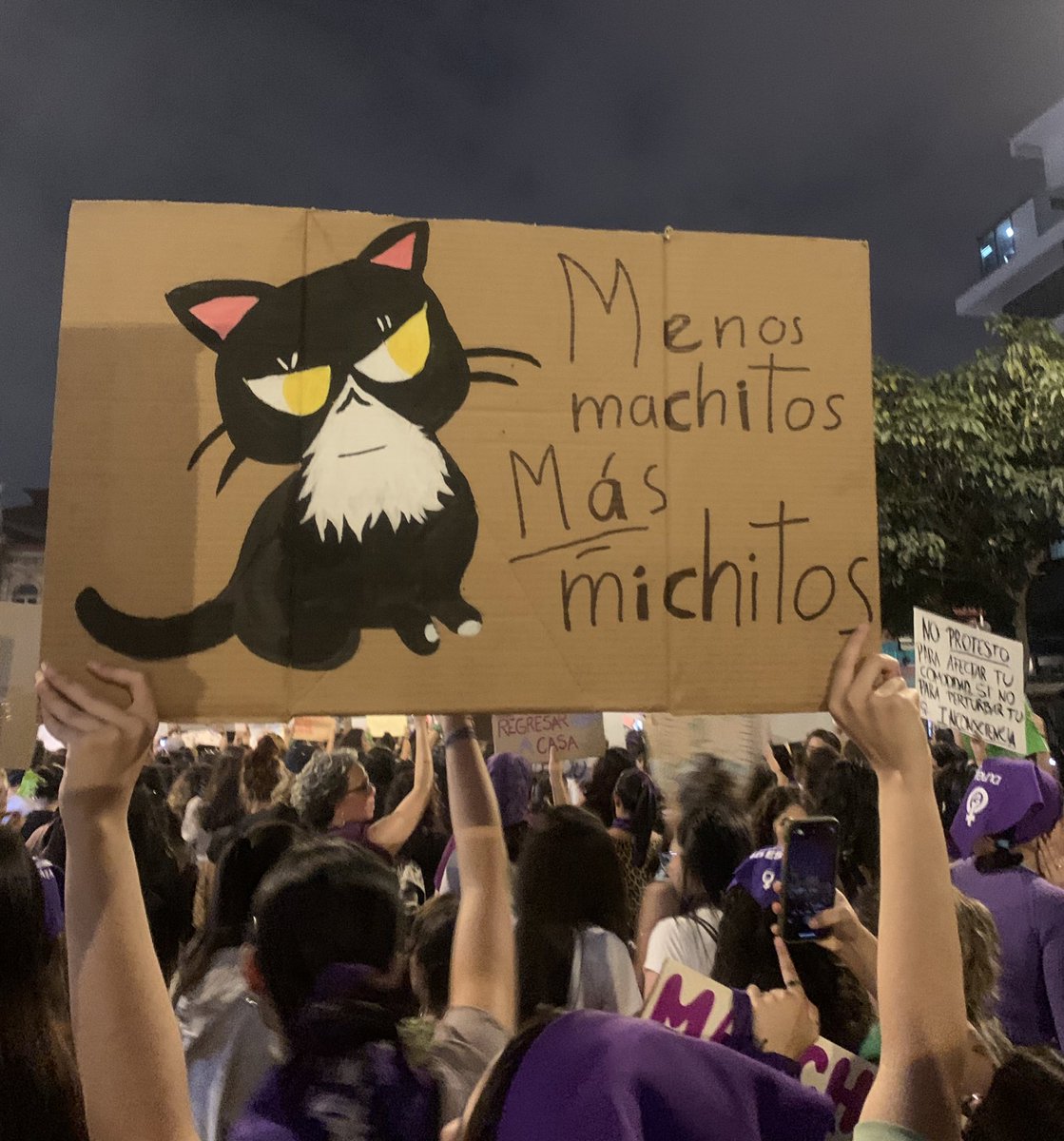 AnaYanciCarmona's tweet photo. “Menos machitos, más michitos “.
🫶
#8M2024 https://t.co/xSOnWmaKg7