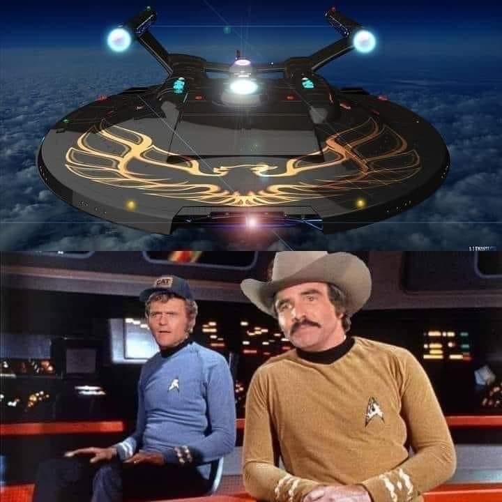 "Good Time" Stevie McKeown (@goodtimestevie) on Twitter photo 