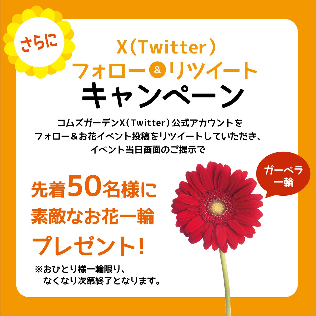 coms0320's tweet photo. 3月19日（火）12：00～ コムズガーデンB2広場にてフラワープレゼントを開催！  
コムズガーデン各店舗（※一部店舗を除く） ��日ご利用レシート500円以上をご提示で、 先着650名様に季節のお花をプレゼント！   ぜひ、お立ち寄りください♪ https://t.co/pTmbRoaBeT