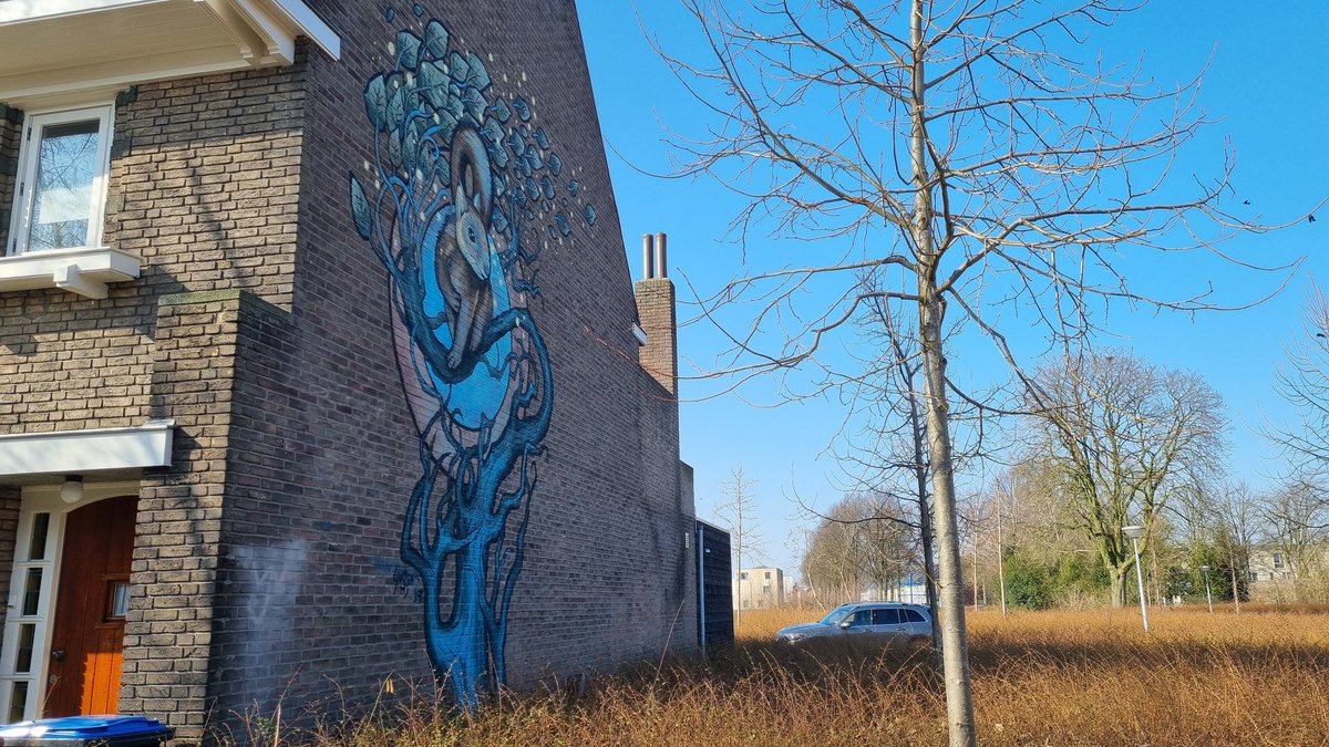 #Streetart in #Eindhoven     

@MolinaStreetArt @StreetArtDream 
#graffiti #graffitiart #streetart #mural