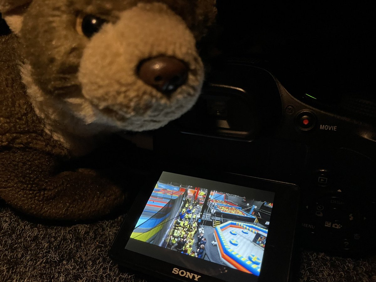 A sea of yellow: the moment Brownies were set free into the trampoline park!

#girlguiding #iwd #trampolineparksleepover