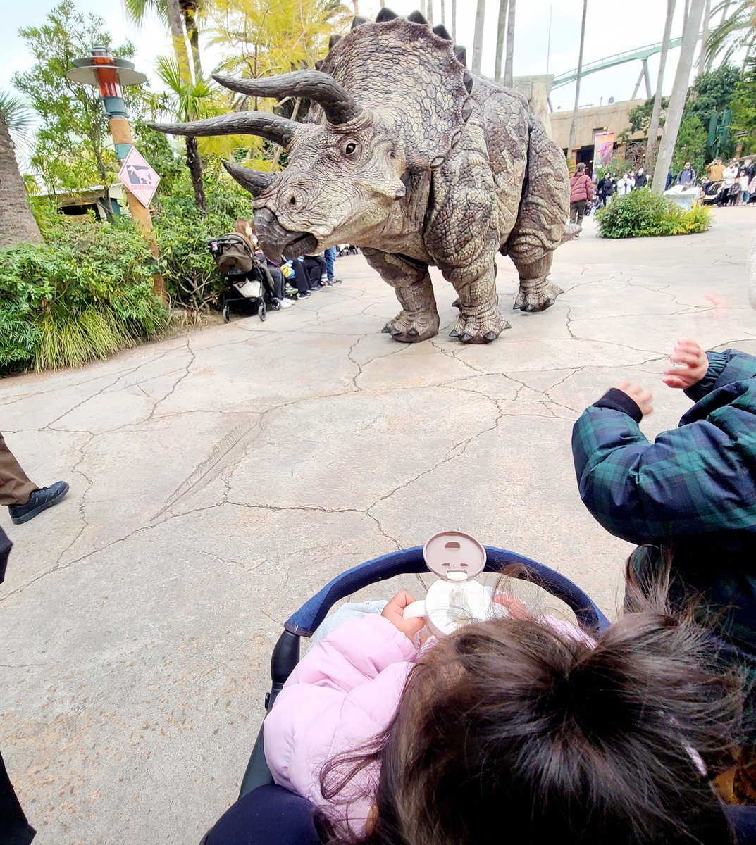 野生のトリケラトプスおったぁぁぁ🦖