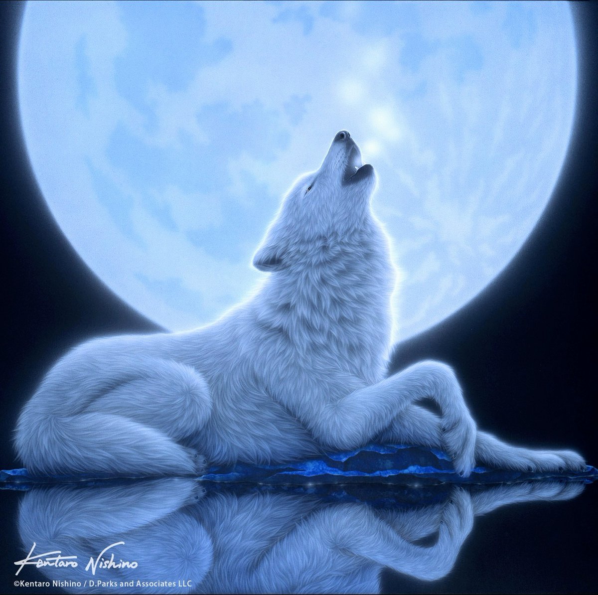 'Silent Night' #Wolf

 The wolf's howl of life that echoes in the silence.

「静寂の夜」#オオカミ 原画

2017年の #ジャパンアートエキスポ　に出品した、静けさの中に響く命の遠吠えを表現した作品です。

#savewolves #wolves #wolfart #kentaronishino #オオカミアート  #西野健太郎