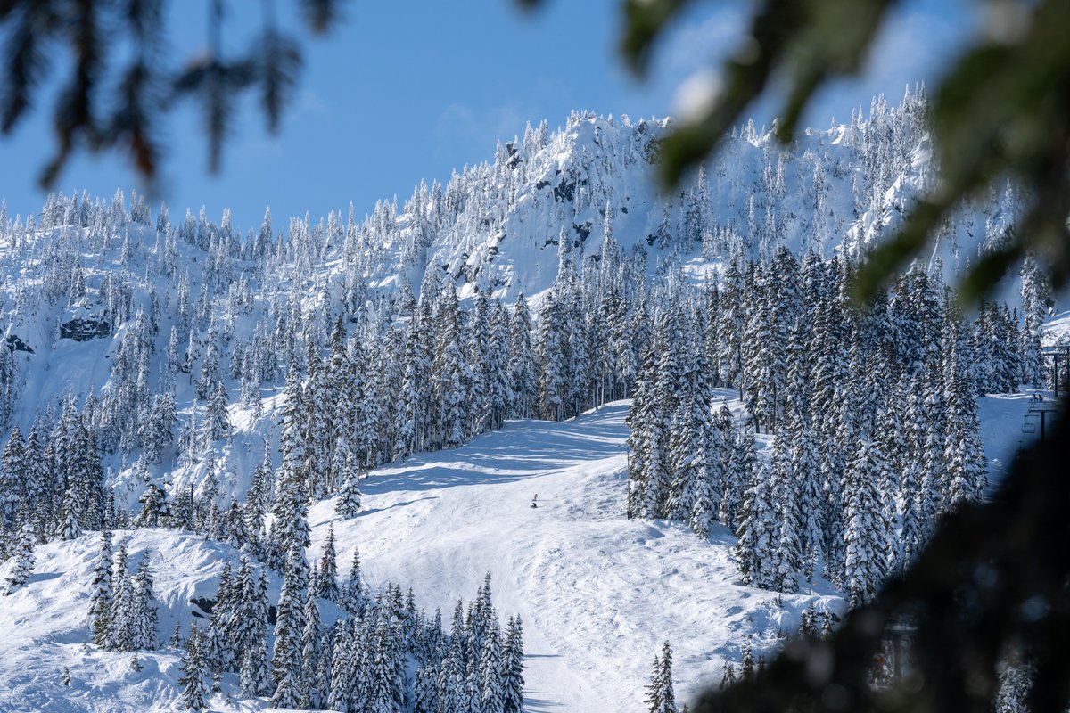 It's been a beautiful week at the Pass, and the forecast looks promising for another great week of skiing and riding ahead. Learn more from Ellen's latest post: blog.stevenspass.com/stevens-pass-u…