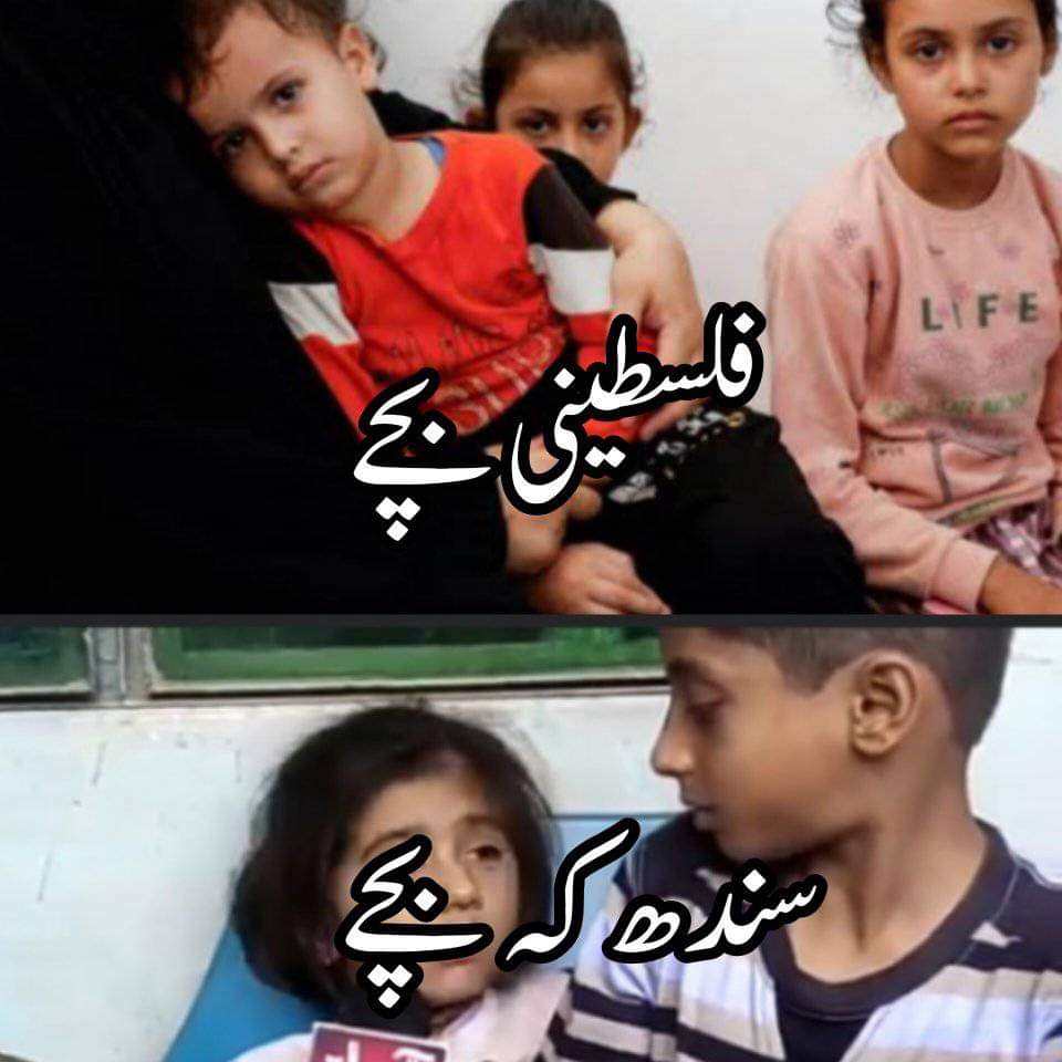 Mushtaq Mirani tweet media