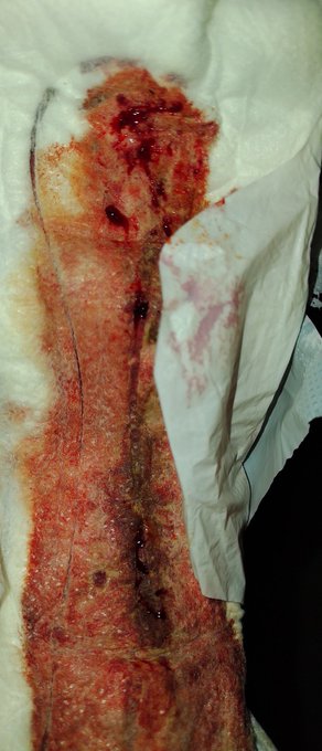 En el d&iacute;a de la mujer yo haciendo honor a m&iacute; g&eacute;nero, saludos aqu&iacute; observa yo alimentando plantas con