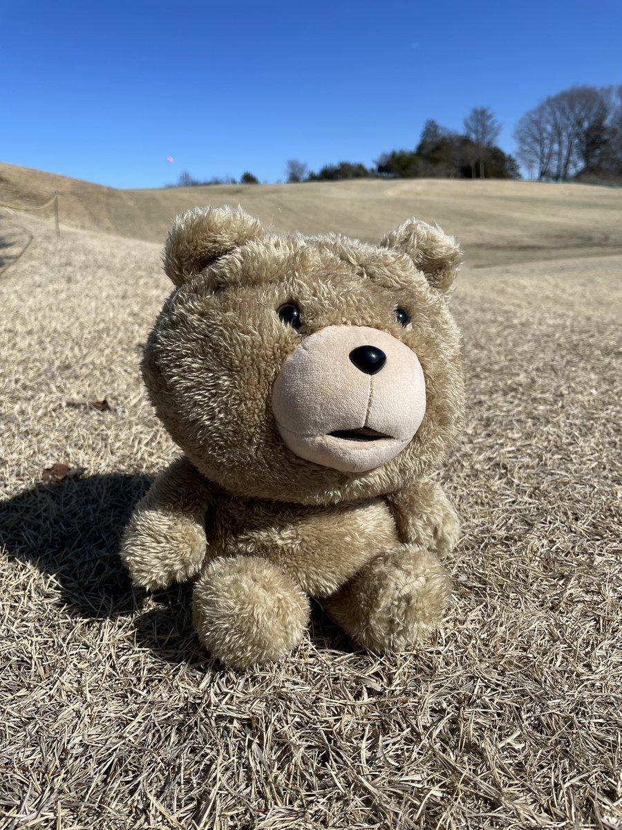 ニシヤン (@golf_score95) / Posts / X