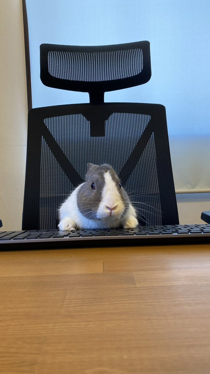 おはようございます☀️