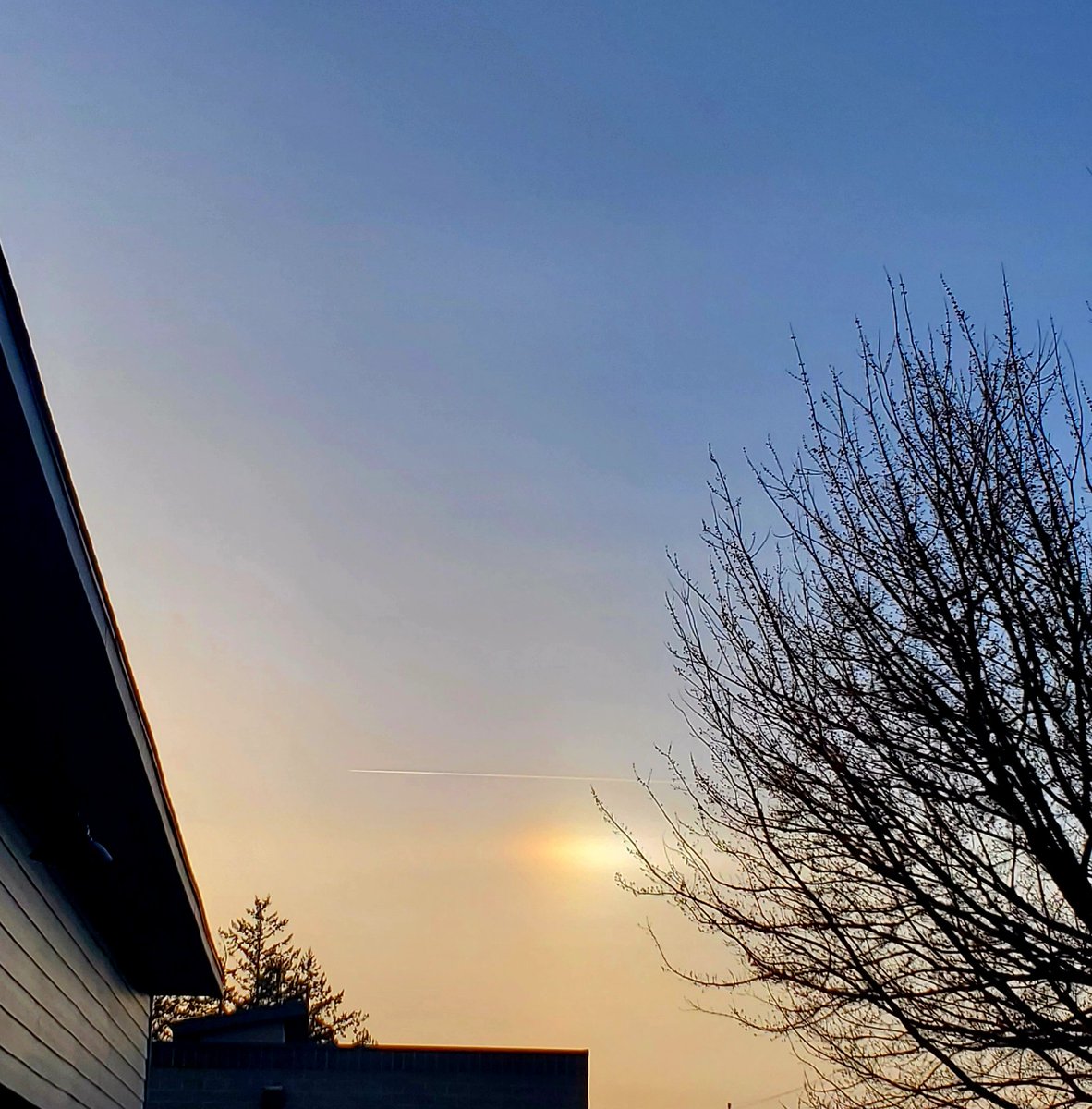 chriscabe3's tweet image. #sundog #greshamOR #orwx @JoshCozartWx @KelleyKOIN @NatashaKOIN6 🌞☀️