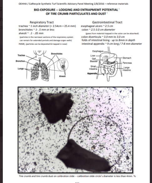 3G ⚽️ PITCHES: HEALTH RISKS, ENVIRONMENTAL DAMAGE tweet media